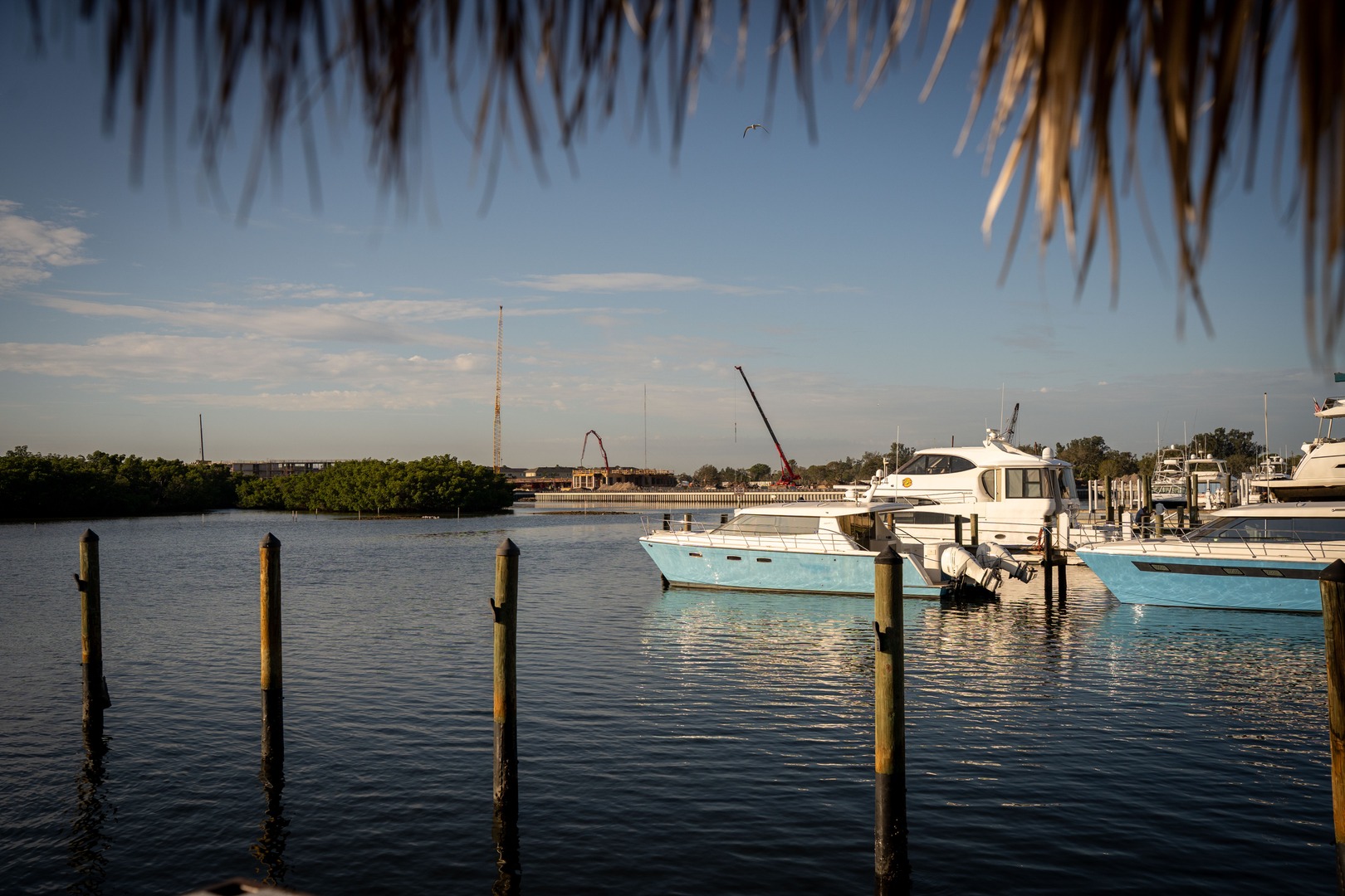 From the dock at Patrona Coastal Café, Old Tampa Bay opens toward the future home of Amara Bay. With marina views, calm waters, and daily waterfront rituals just steps away, the connection between neighborhood and residence is immediate and tangible.