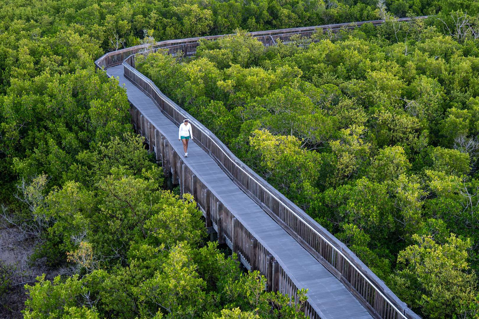 Weedon Island Preserve features elevated boardwalks winding through protected mangrove forests and scenic paved paths ideal for walking and cycling. A primary highlight is the 45-foot observation tower, offering panoramic views across Tampa Bay and toward the skylines of both Tampa and St. Petersburg. Just minutes from Amara Bay, it represents one of the region’s most immersive natural landscapes.