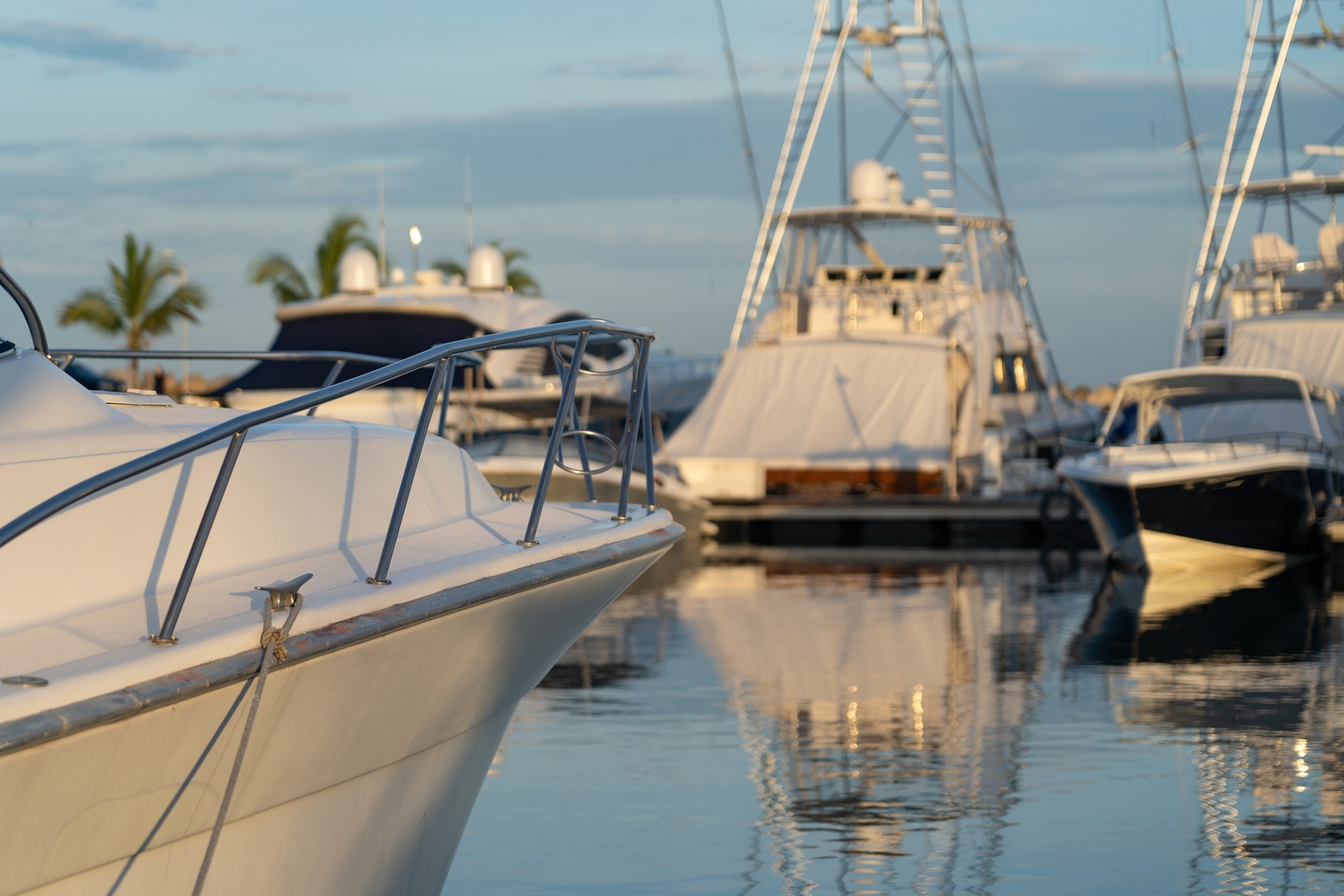 yatch